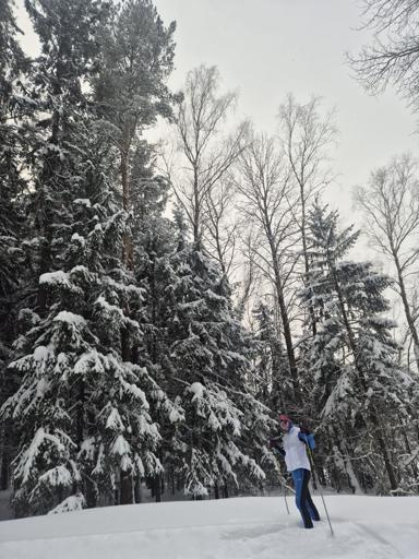 Аватар Ольга Панасенко