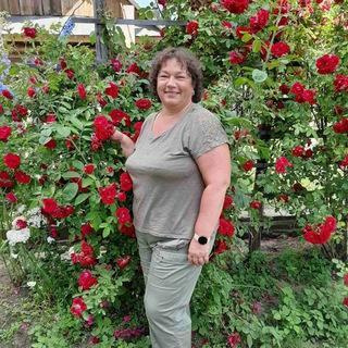 Аватар Светлана Соколова