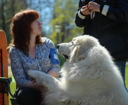 Аватар Анна Храпуненко